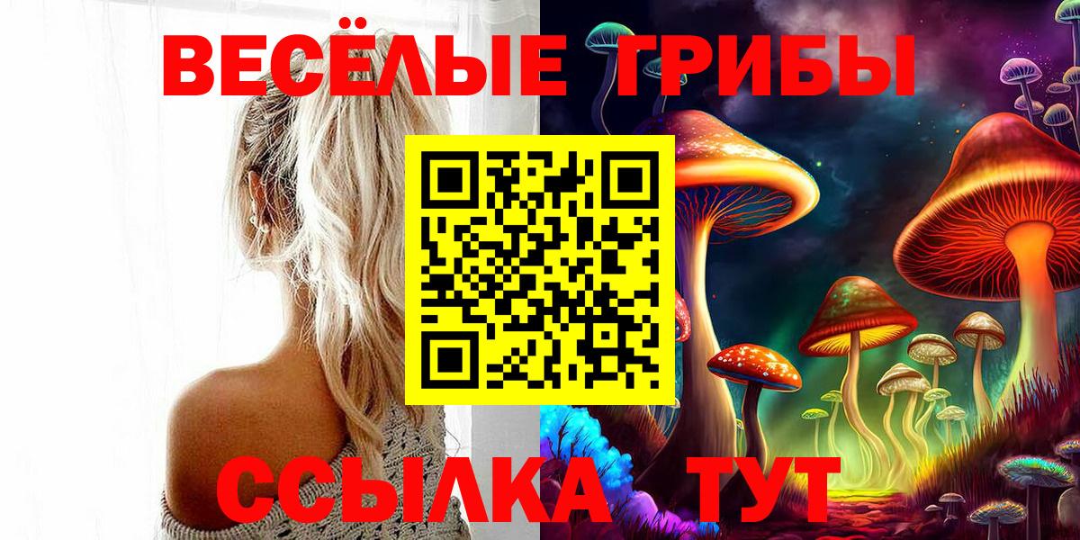 Псилоцибиновые грибы мицелий Арзамас