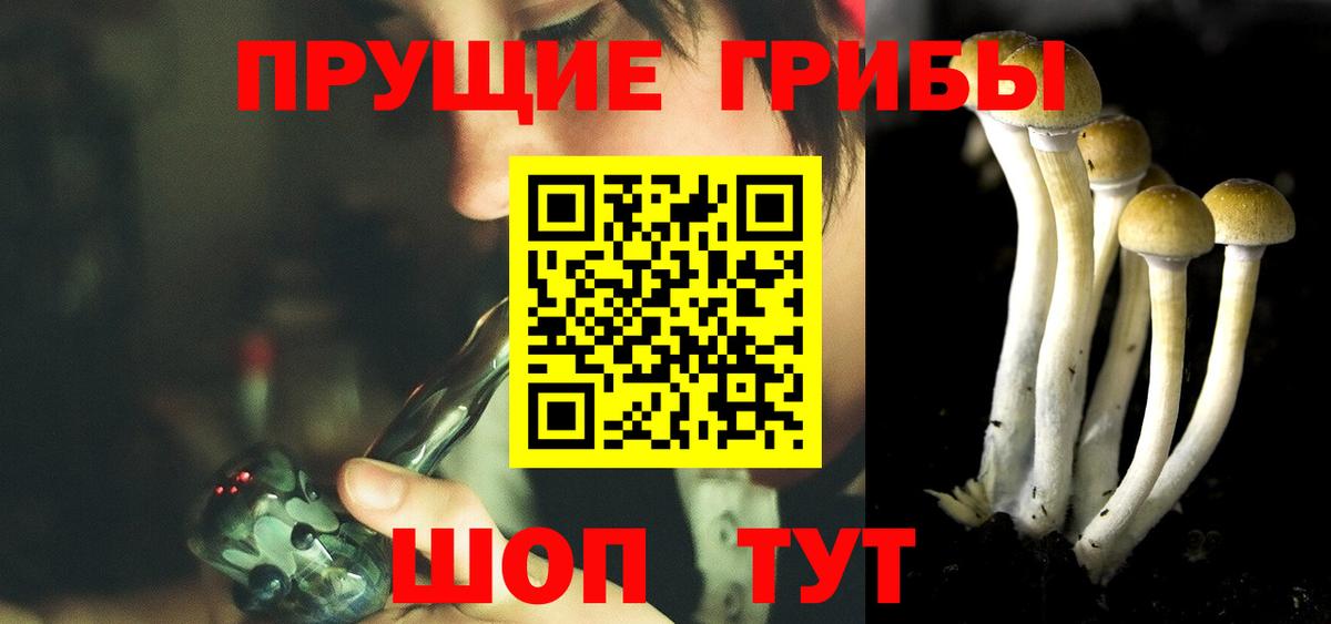 продажа наркотиков  Вход с VPN  Арзамас  Галлюциногенные грибы мицелий 